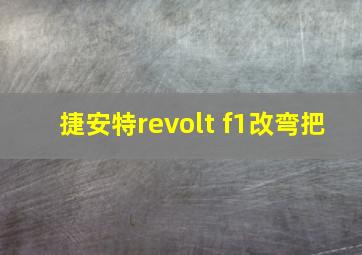 捷安特revolt f1改弯把